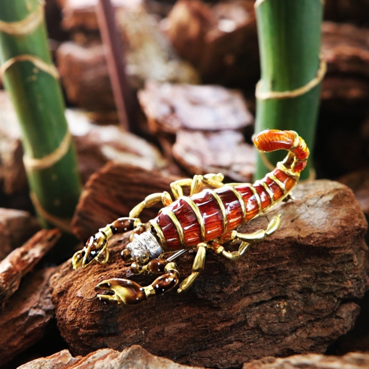 Codice 51810046 - Foto 2/2