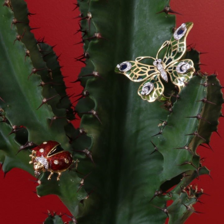 Codice 518100515 - Foto 2/2