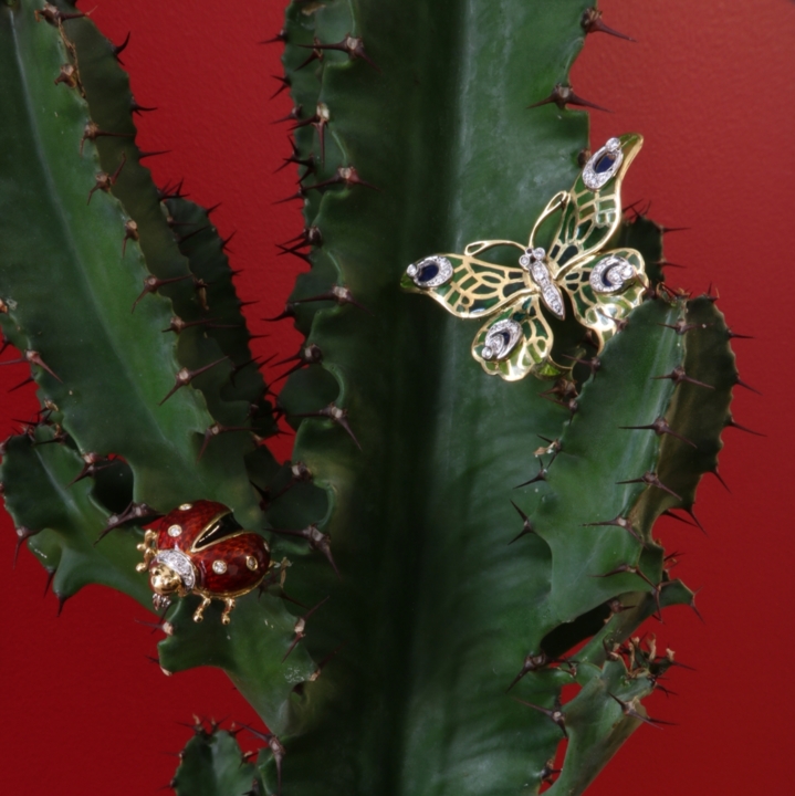 Codice 218100725 - Foto 3/3