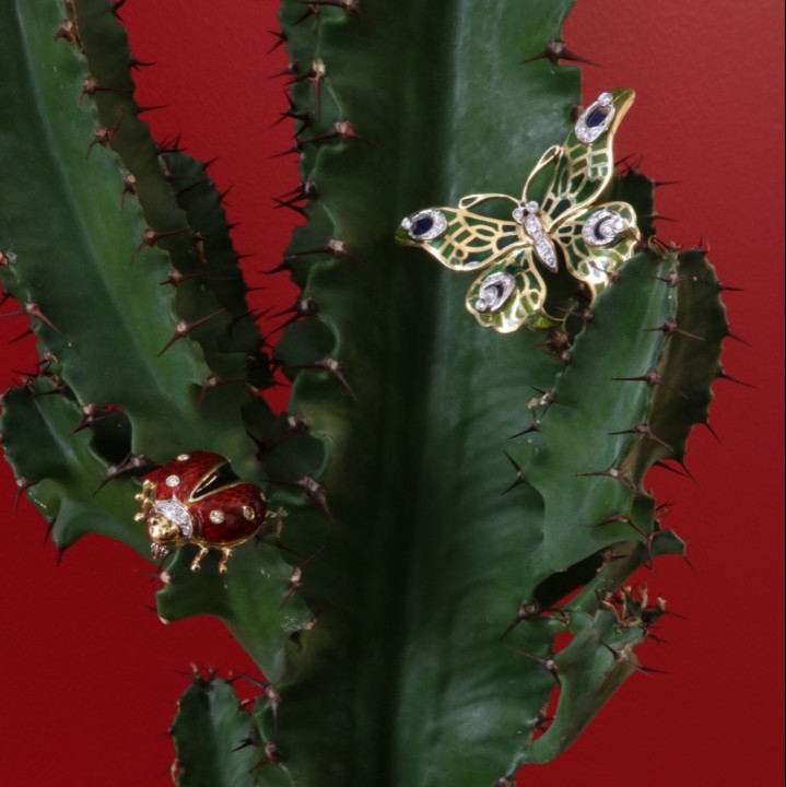 Codice 218100515 - Foto 2/2