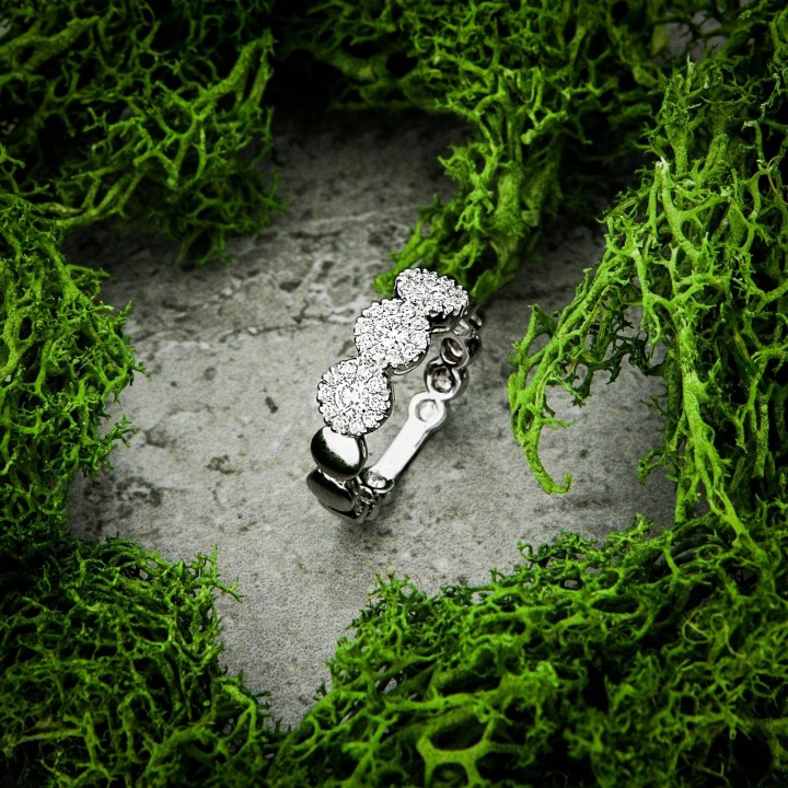 Codice 1240660 - Foto 2/2