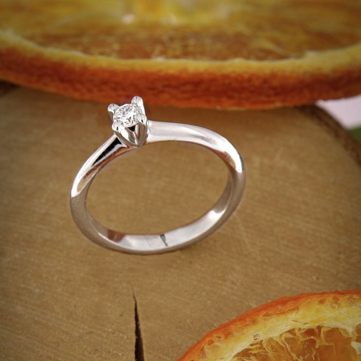 Codice 11004 - Foto 2/2