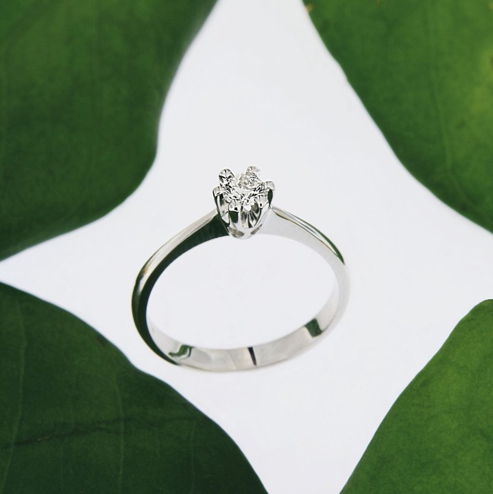 Codice 11007 - Foto 3/3