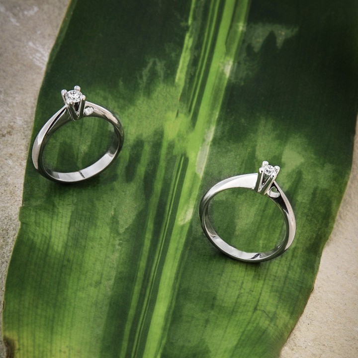 Codice 11008 - Foto 3/3